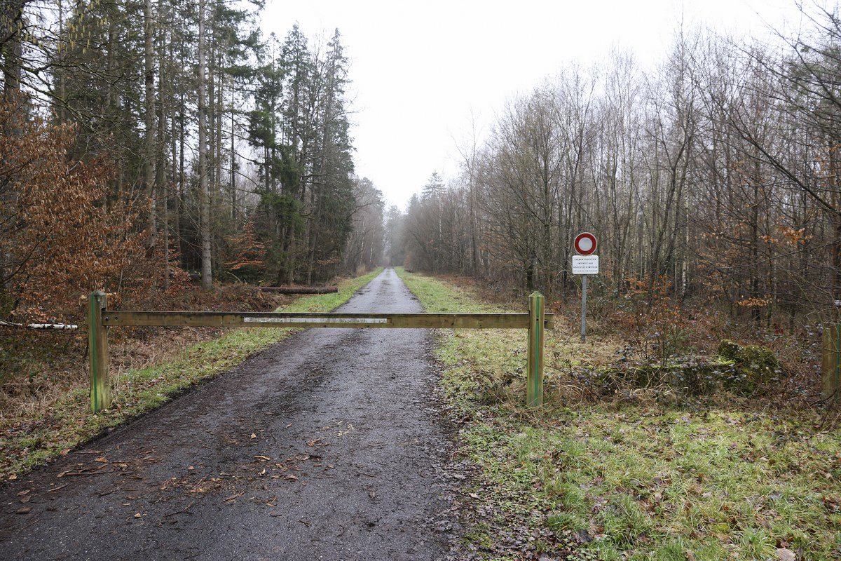 Ligne Maginot - BOIS DE LORRAINE - (Dépôt du Génie) - Entrée principale - Alain Perouffe