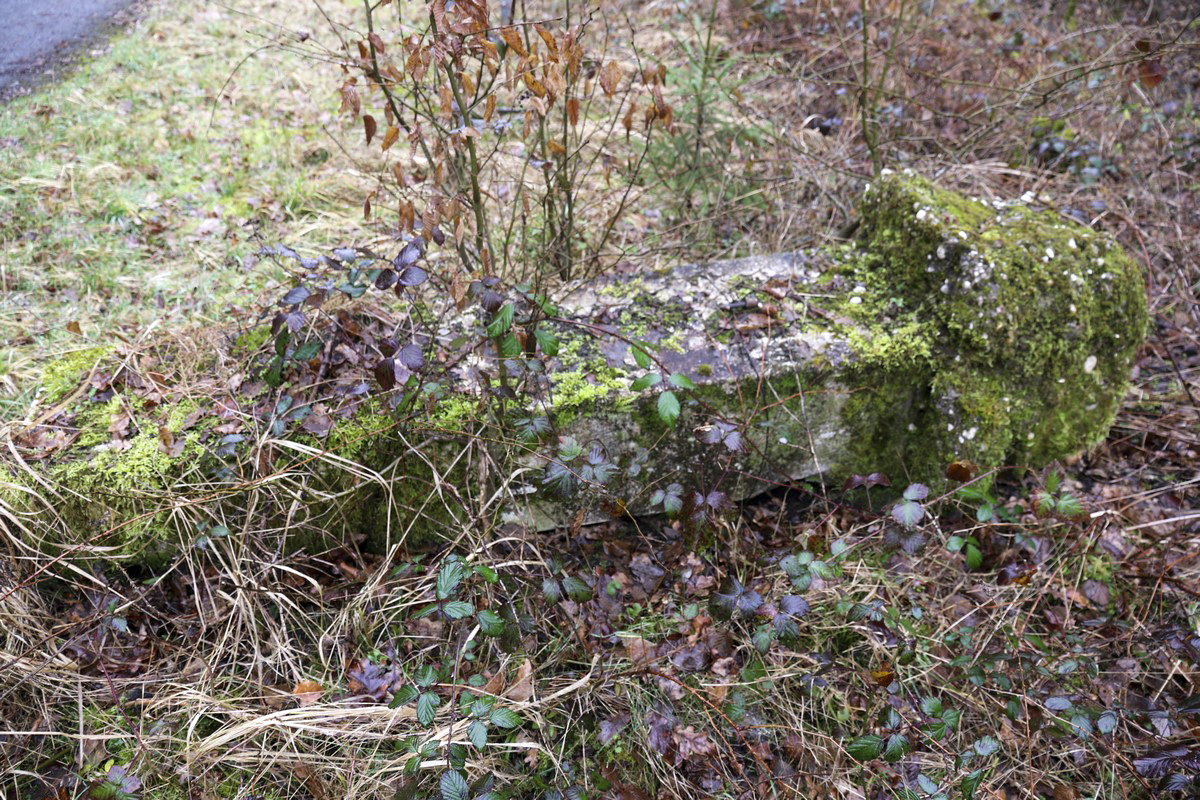 Ligne Maginot - BOIS DE LORRAINE - (Dépôt du Génie) - Entrée principale. Le pilier du portail, seul reste - Alain Perouffe