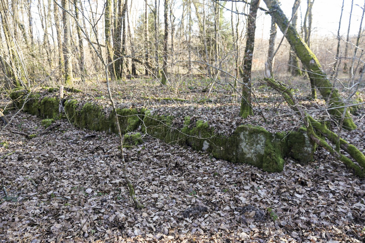 Ligne Maginot - BOIS DE LORRAINE - (Dépôt du Génie) - Le seul reste de soubassement trouvé lors de la brève visite - Alain Perouffe