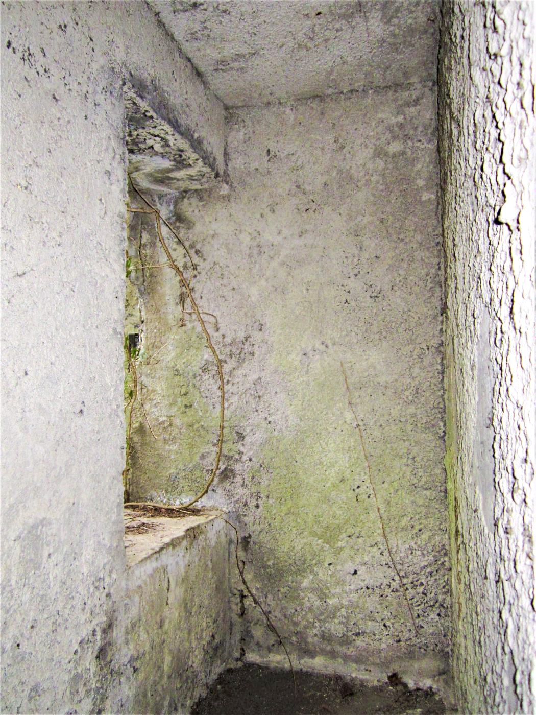 Ligne Maginot - 18 - MOULIN DE LA WANTZENAU - (Blockhaus pour arme infanterie) - Chicane d'accès - G. Fuchs