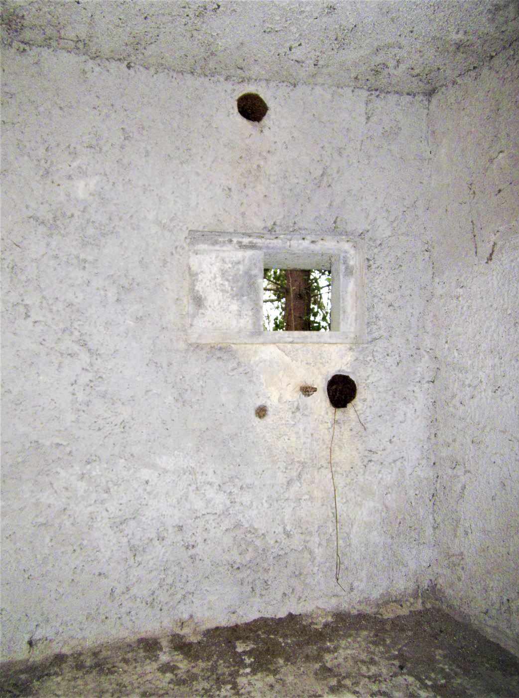 Ligne Maginot - 18 - MOULIN DE LA WANTZENAU - (Blockhaus pour arme infanterie) - Créneau Est - G. Fuchs