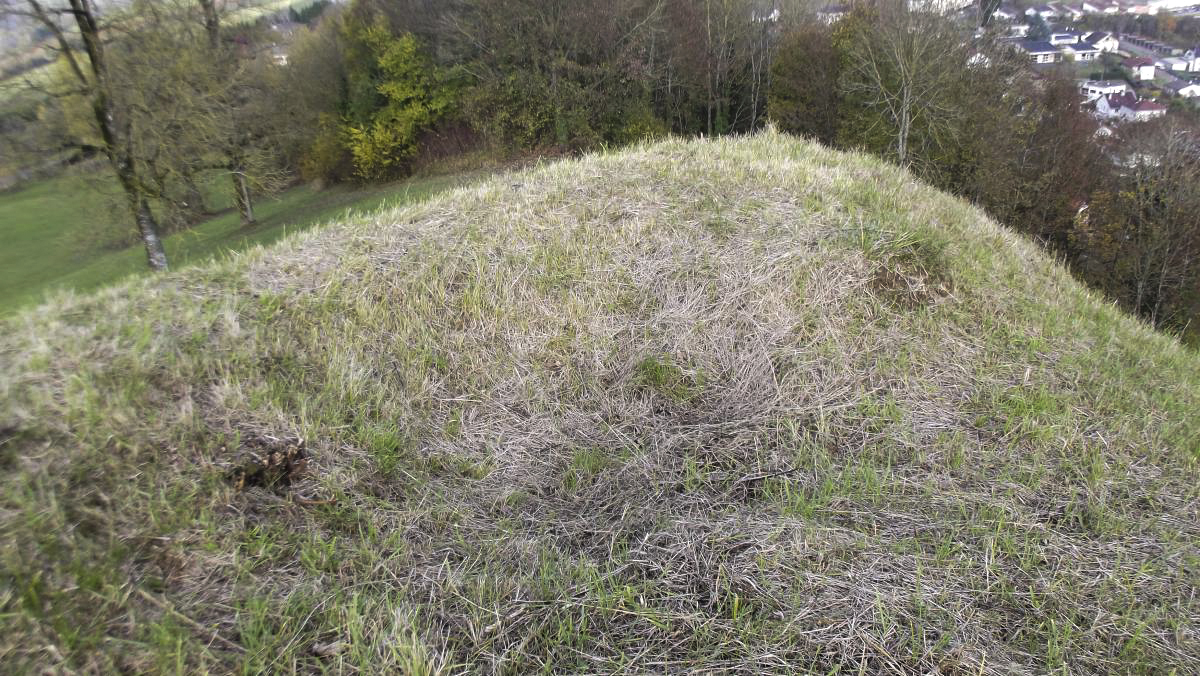 Ligne Maginot - CITADELLE DE MONTMEDY NORD - (Observatoire d'artillerie) - Trace de tranchée d'accès à un trou, emplacement d'une guérite ?