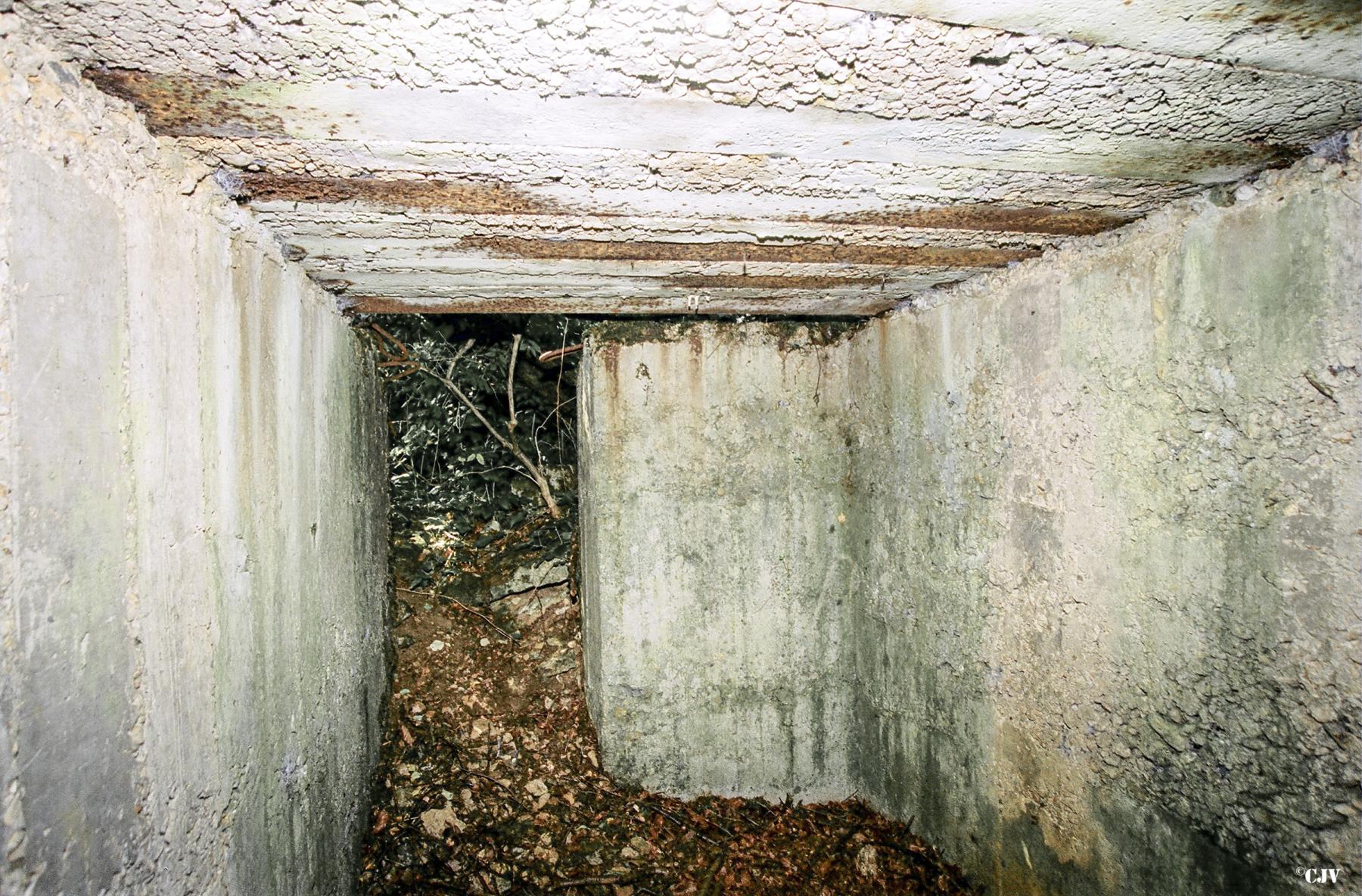 Ligne Maginot - CÔTE 311 BIS - (PC) -  - Lia VERMEULEN