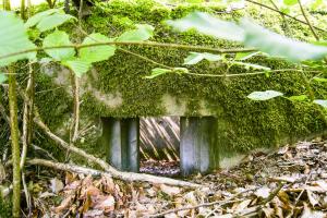 Ligne Maginot - SCHIRMENSTUDEN 6 - (Blockhaus pour arme infanterie) -                           