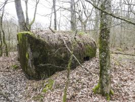 Ligne Maginot - SCHIRMENSTUDEN 10 - (Blockhaus pour arme infanterie) - La façade de tir vers l'Est.