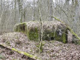 Ligne Maginot - SCHIRMENSTUDEN 10 - (Blockhaus pour arme infanterie) - La façade de tir vers l'Ouest.