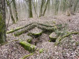 Ligne Maginot - SCHIRMENSTUDEN 12 - (Cuve pour canon) - La cuve vue depuis le sud.