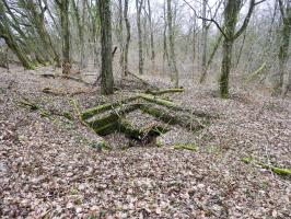 Ligne Maginot - SCHIRMENSTUDEN 12 - (Cuve pour canon) - Une vue générale.