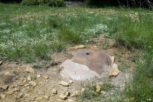 Ligne Maginot - MOLVANGE - A9 - (Ouvrage d'artillerie) - Bloc 7
Cloche GFM