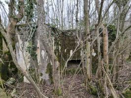 Ligne Maginot - BOIS DE PONTPIERRE NORD - (Blockhaus pour arme infanterie) - Façade de tir avec le créneau 
