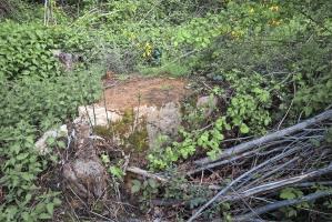 Ligne Maginot - DAUGBERT - (Blockhaus pour arme infanterie) - Le Daugbert est pratiquement détruit par le débardage récent.
2021