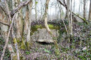 Ligne Maginot - DAUGBERT (Blockhaus pour arme infanterie) - Creneau