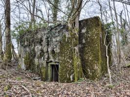 Ligne Maginot - BOIS DE PONTPIERRE NORD - (Blockhaus pour arme infanterie) - Mur latéral gauche du blockhaus et l'entrée