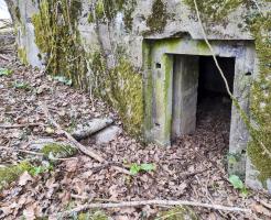 Ligne Maginot - BOIS DE PONTPIERRE NORD - (Blockhaus pour arme infanterie) - L'entrée du blockhaus. 
Notez les réservations prévus pour la porte blindée, ainsi que les sacs de ciment entassés pour servir de soutien à l'accès depuis la tranchée. 