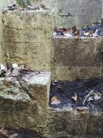 Ligne Maginot - LE SART - (PC de Quartier) - Entrée de gauche
Détail de l'escalier