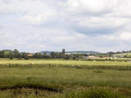 Ligne Maginot - B7 - LA FERTE EST - (Blockhaus pour arme infanterie) - Vue vers Margut au nord-est