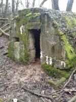 Ligne Maginot - LES OEUILLONS - (Abri) - Vue générale