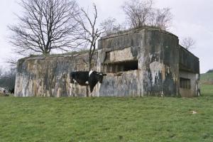 Ligne Maginot - MY6 - (Blockhaus lourd type STG / STG-FCR - Double) - La paix retrouvée...