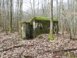 Ligne Maginot - SCHEIDWALD 10 - (Blockhaus pour arme infanterie) - La face arrière et l'entrée.