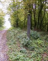 Ligne Maginot - My13 - VILLECLOYE (Casemate d'artillerie) - 