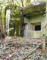 Ligne Maginot - My13 - VILLECLOYE (Casemate d'artillerie) - 