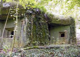 Ligne Maginot - My13 - VILLECLOYE (Casemate d'artillerie) - 