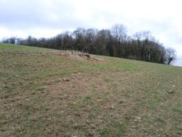 Ligne Maginot - PESELY - (Observatoire indeterminé) - Vue par l'Ouest. Le Bois Marotte est visible en arrière plan.
