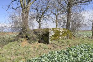 Ligne Maginot - LERCHENBERG - (Blockhaus de type indéterminé) - 
