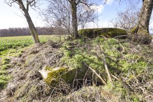 Ligne Maginot - LERCHENBERG - (Blockhaus de type indéterminé) - 