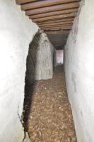 Ligne Maginot - BANHOLZ - (Abri) - 