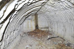 Ligne Maginot - BANHOLZ - (Abri) - 