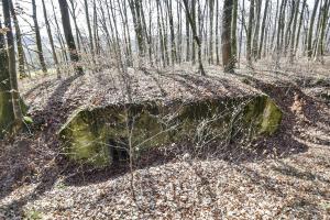 Ligne Maginot - RUETTENNENHOLZ - (Abri) - 