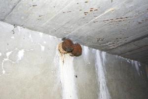 Ligne Maginot - SAINT WALFROY (4° BON - 155° RIF) - (PC de Quartier) - Deux fourreaux acier débouchant sur l'extérieur