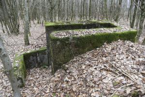 Ligne Maginot - SCHEIDWALD 11 - (Blockhaus pour arme infanterie) - Entrée
