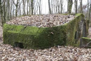Ligne Maginot - SCHEIDWALD 11 - (Blockhaus pour arme infanterie) - 