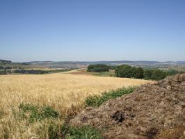 Ligne Maginot - SAPOGNE - (Ouvrage d'infanterie) - Vue vers l'ouest, la vallée de la Chiers et l'ouvrage de la Ferté