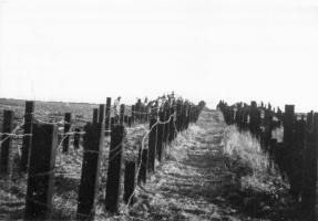 Ligne Maginot - THONNELLE - (Ouvrage d'infanterie) - Réseau de rails antichar 