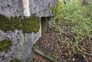 Ligne Maginot - A18 - (Blockhaus pour canon) - 