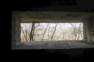 Ligne Maginot - G7 - (Blockhaus lourd type STG / STG-FCR - Simple) - Vue au travers d'un créneau de tir
