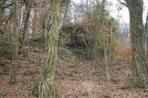 Ligne Maginot - G20 - (Blockhaus lourd type STG / STG-FCR - Simple) - l'ouvrage depuis la route en contrebas... Le dégel de ce mois de février rend l'aller jusqu'à louvrage des plus difficiles... 