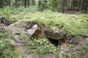 Ligne Maginot - HAUT DE CROTTE - (PC) - 