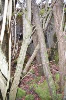 Ligne Maginot - K - (Blockhaus pour arme infanterie) - L'entrée ... Pas tres accessible!