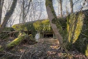 Ligne Maginot - BOIS DE PARLEZ - (Blockhaus pour canon) - 