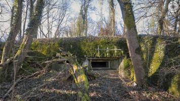 Ligne Maginot - BOIS DE PARLEZ - (Blockhaus pour canon) - 