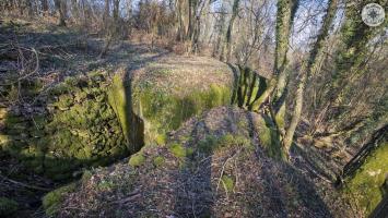 Ligne Maginot - BOIS DE PARLEZ - (Blockhaus pour canon) - L'entrée
