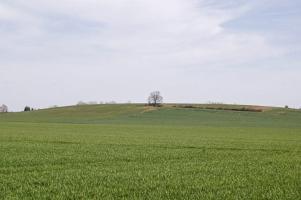 Ligne Maginot - MB8 - PAQUISEL - (Blockhaus pour canon) - Au loin un autre blockhaus...Db48