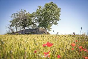 Ligne Maginot - MB9 - HARNEVAUX - (Blockhaus pour canon) - 