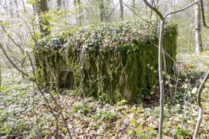 Ligne Maginot - MBA2 - (Blockhaus pour arme infanterie) - La face avant