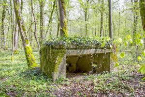 Ligne Maginot - MBA4 - (Blockhaus pour arme infanterie) -  La face arrière              