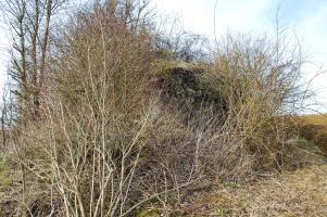 Ligne Maginot - MB35 - LA GRAVETTE - (Blockhaus pour arme infanterie) - Vue d'ensemble avec une végétation envahissante
